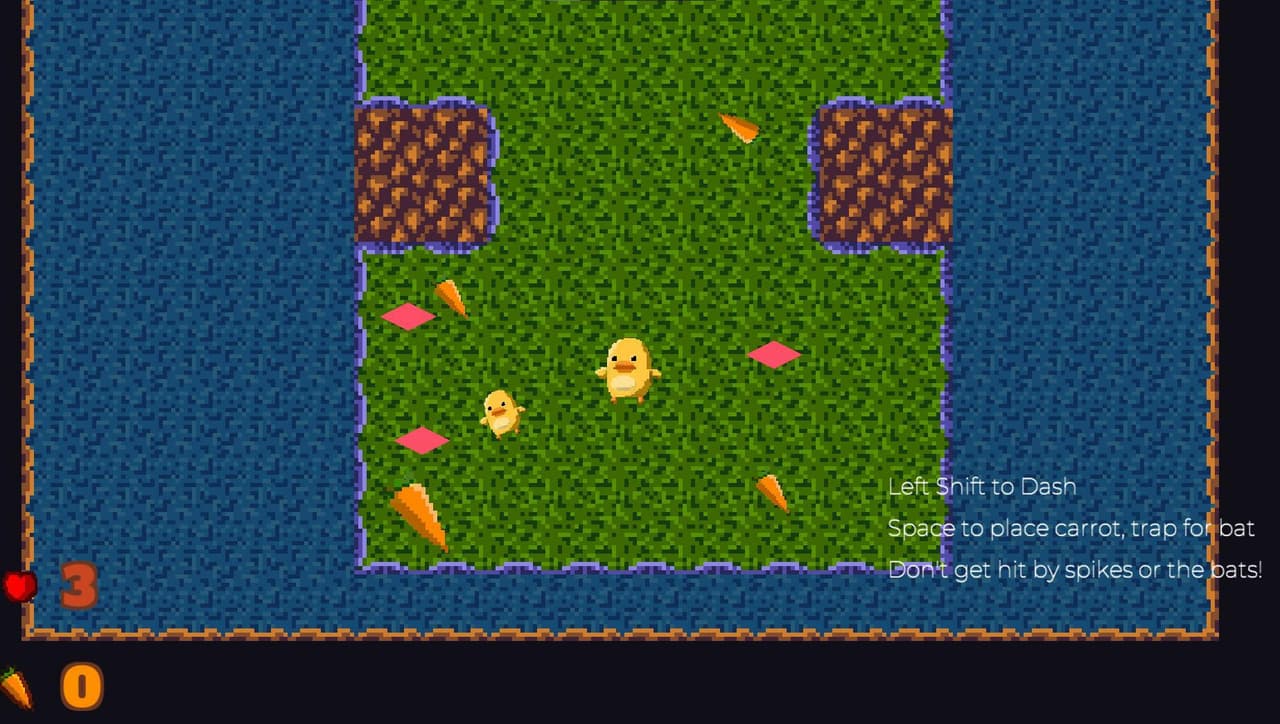 A Ducks Journey