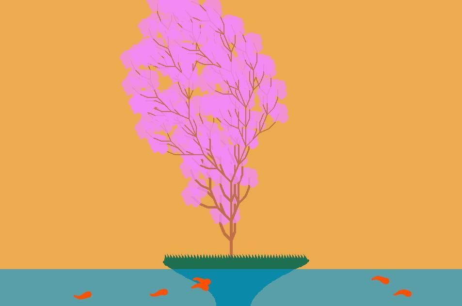 Bonsai (itch) (Jason Accardo)