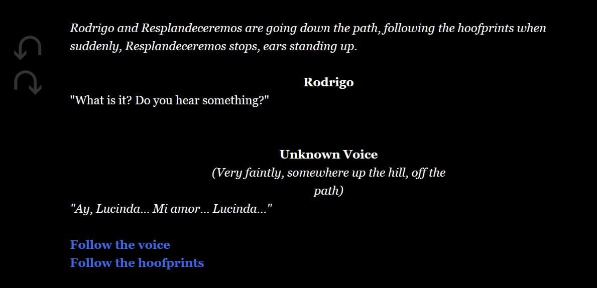 Don Quixote: Narrative Assignment screenshot 4