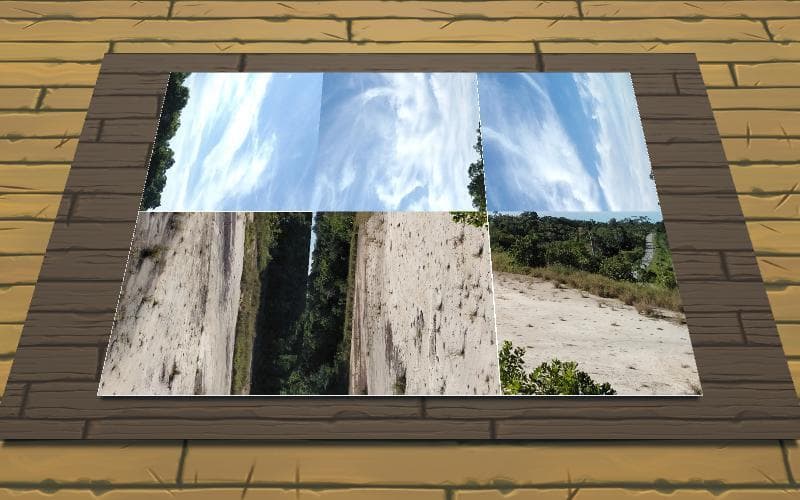 Picture Puzzle