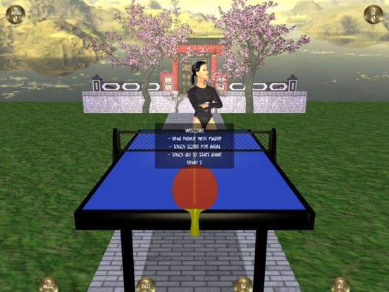 Zen Table Tennis screenshot 2