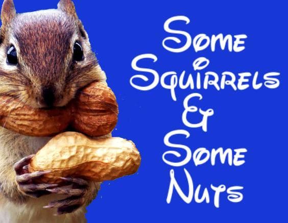Some Squirrels and Some Nuts