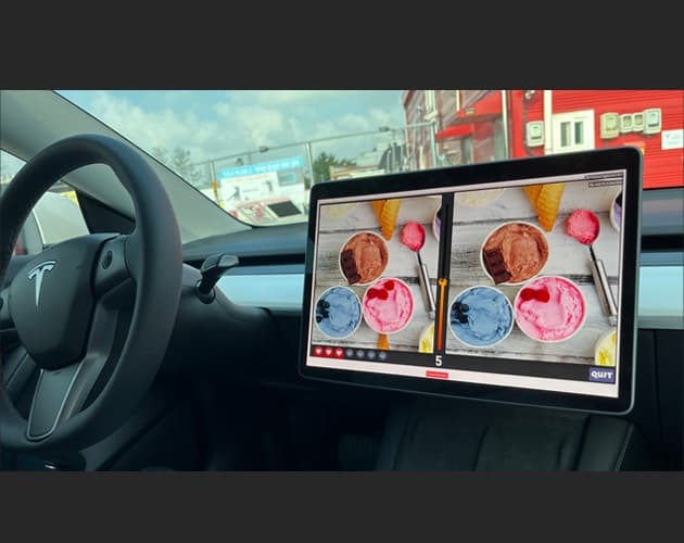 Spot the Difference for TESLA