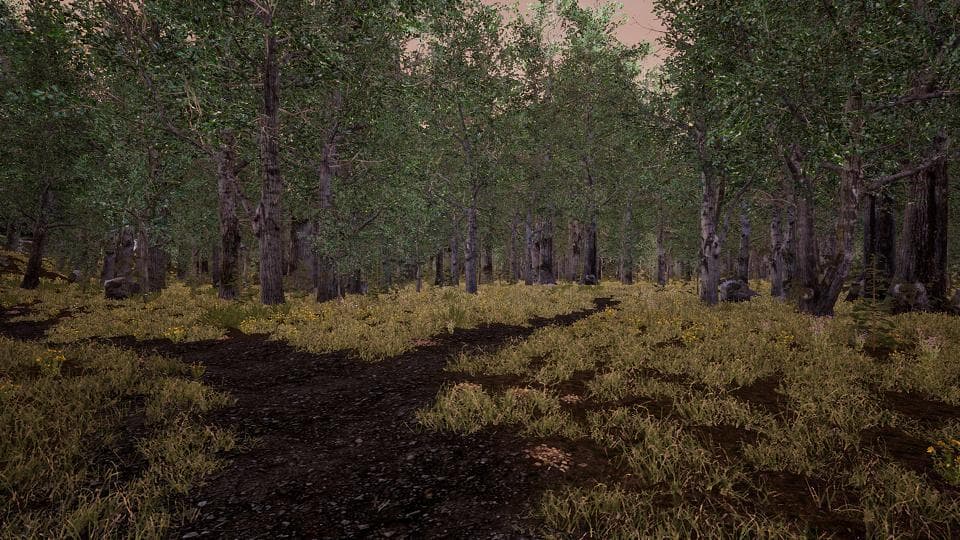 What you see screenshot 2