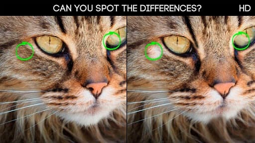 Spot the Differences 100 levels Hard screenshot 2