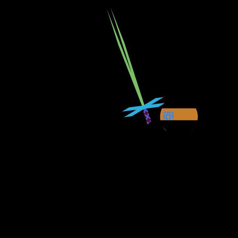Unity 3D