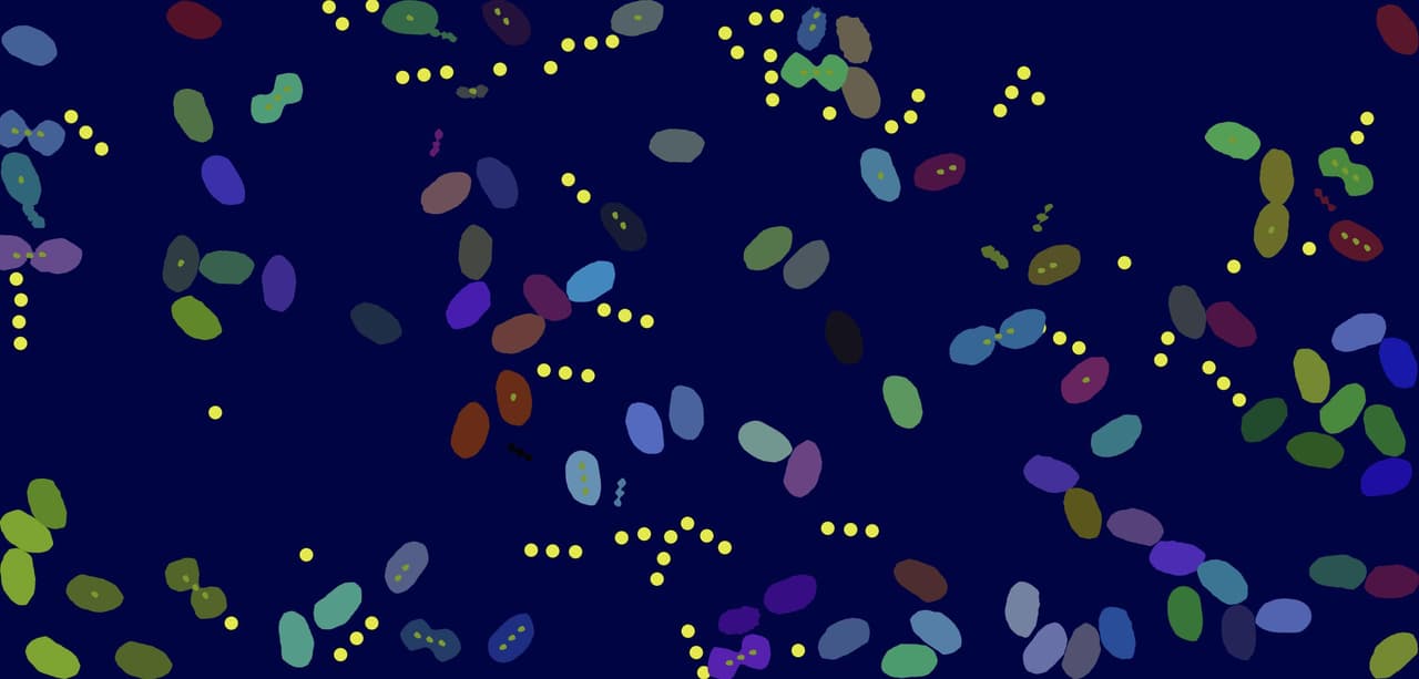 Archaea