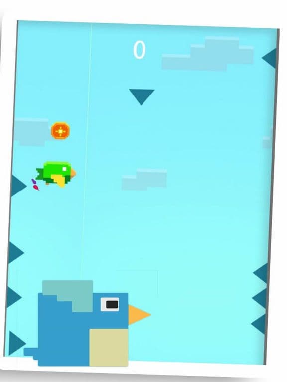 Funny Bird Flip
