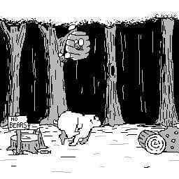 Bear Runner
