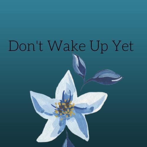 Dont Wake Up Yet