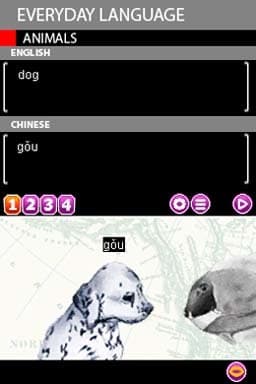 Play & Learn Chinese