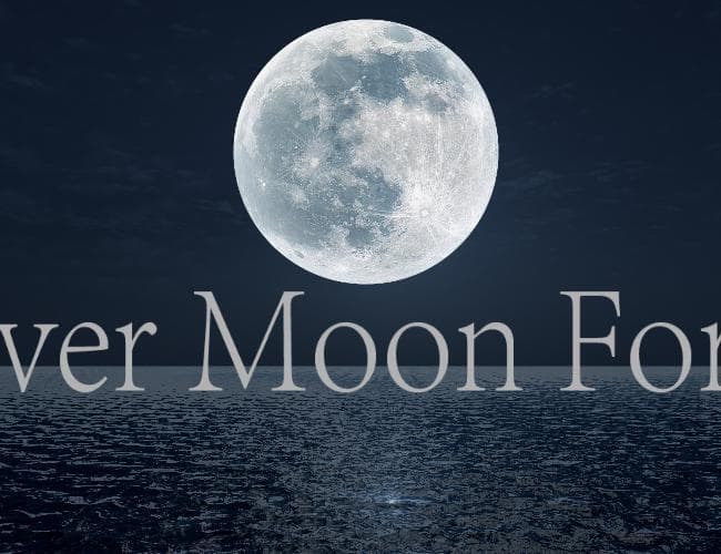 Cover Moon For Me
