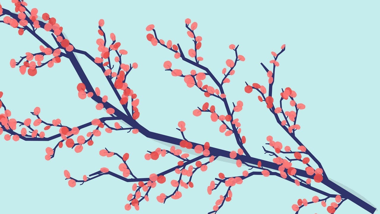 Sakura Branch Generator screenshot 3