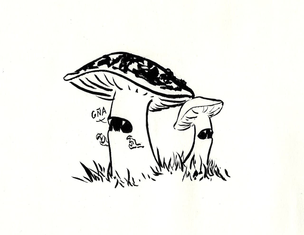 Magical Mushrooms screenshot 2