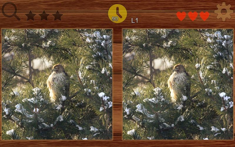 picFind - Find some different screenshot 5