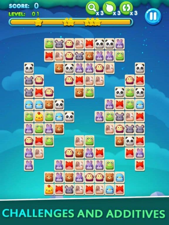 Pet Connect Pet Fun