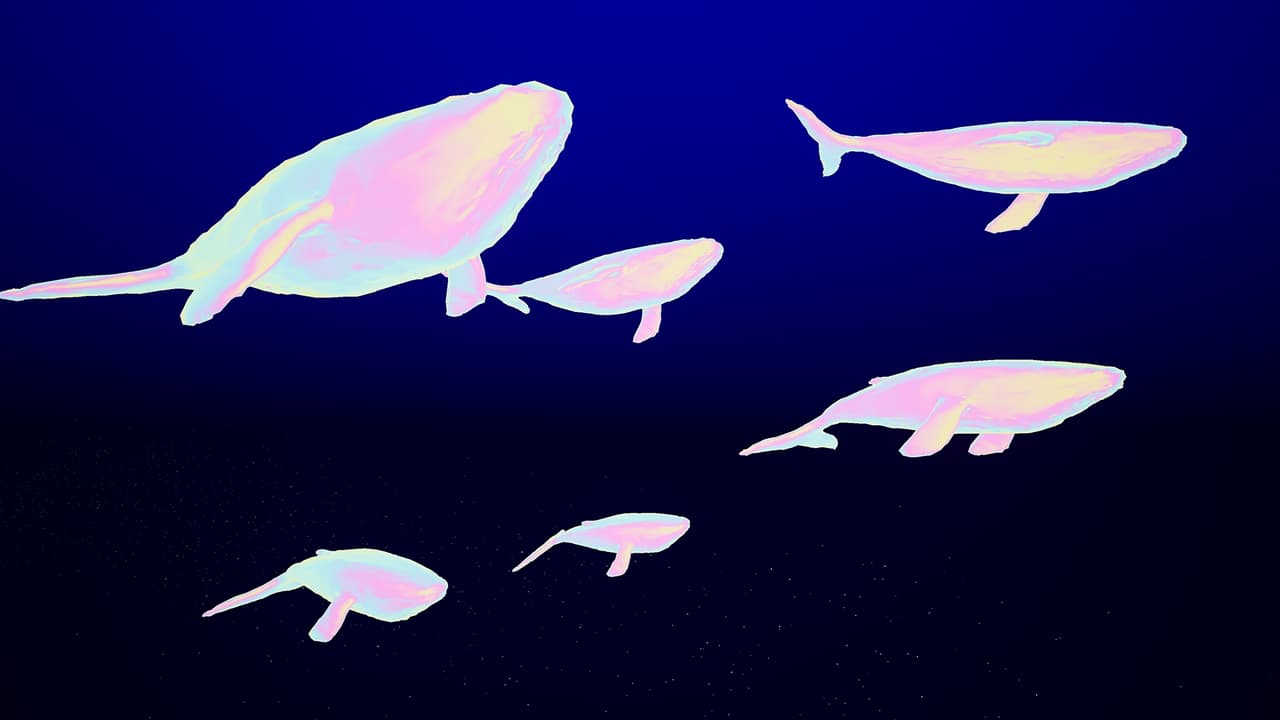 Sonmare screenshot 4