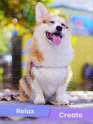 Jigsaw Puzzles for Adults | Puzzle Game App