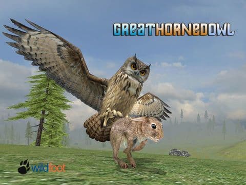 Horned Owl Simulator screenshot 2