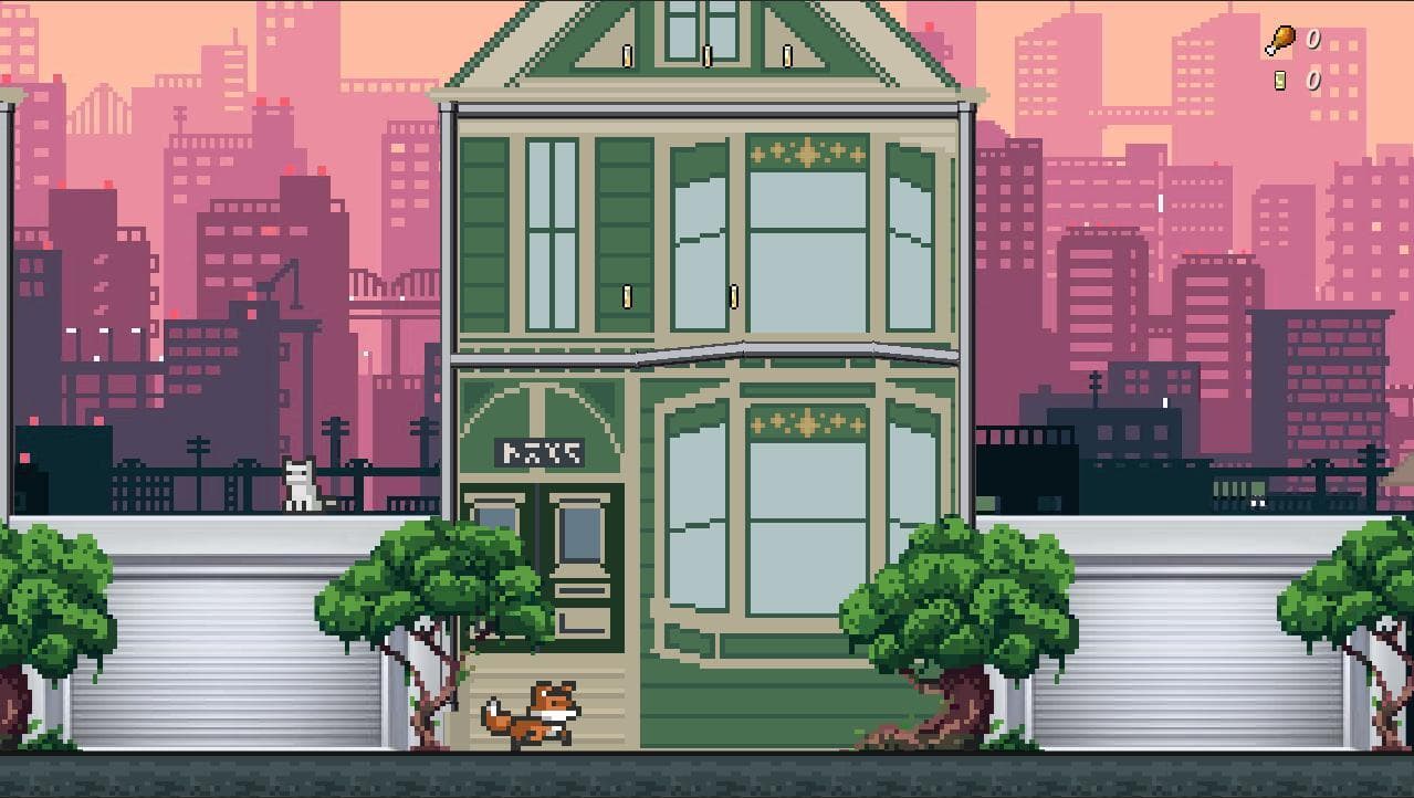 Cat city roof