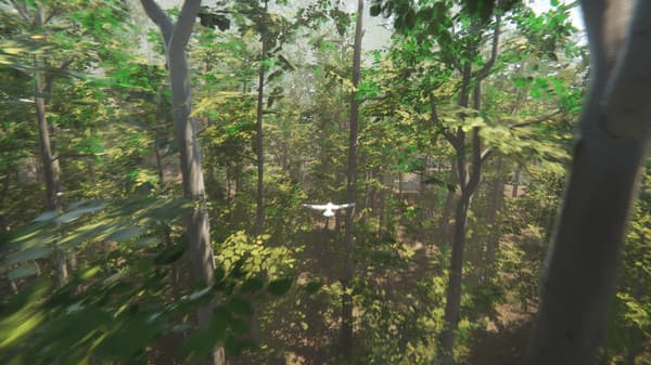 Bird screenshot 3