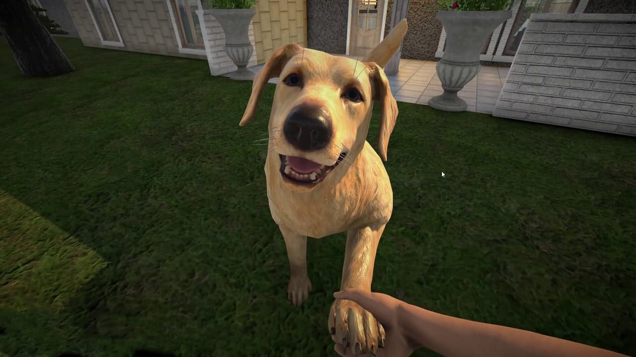 Pets Hotel screenshot 2