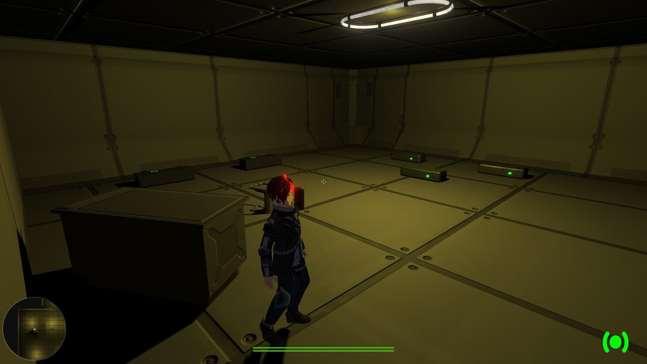 Subject Debris