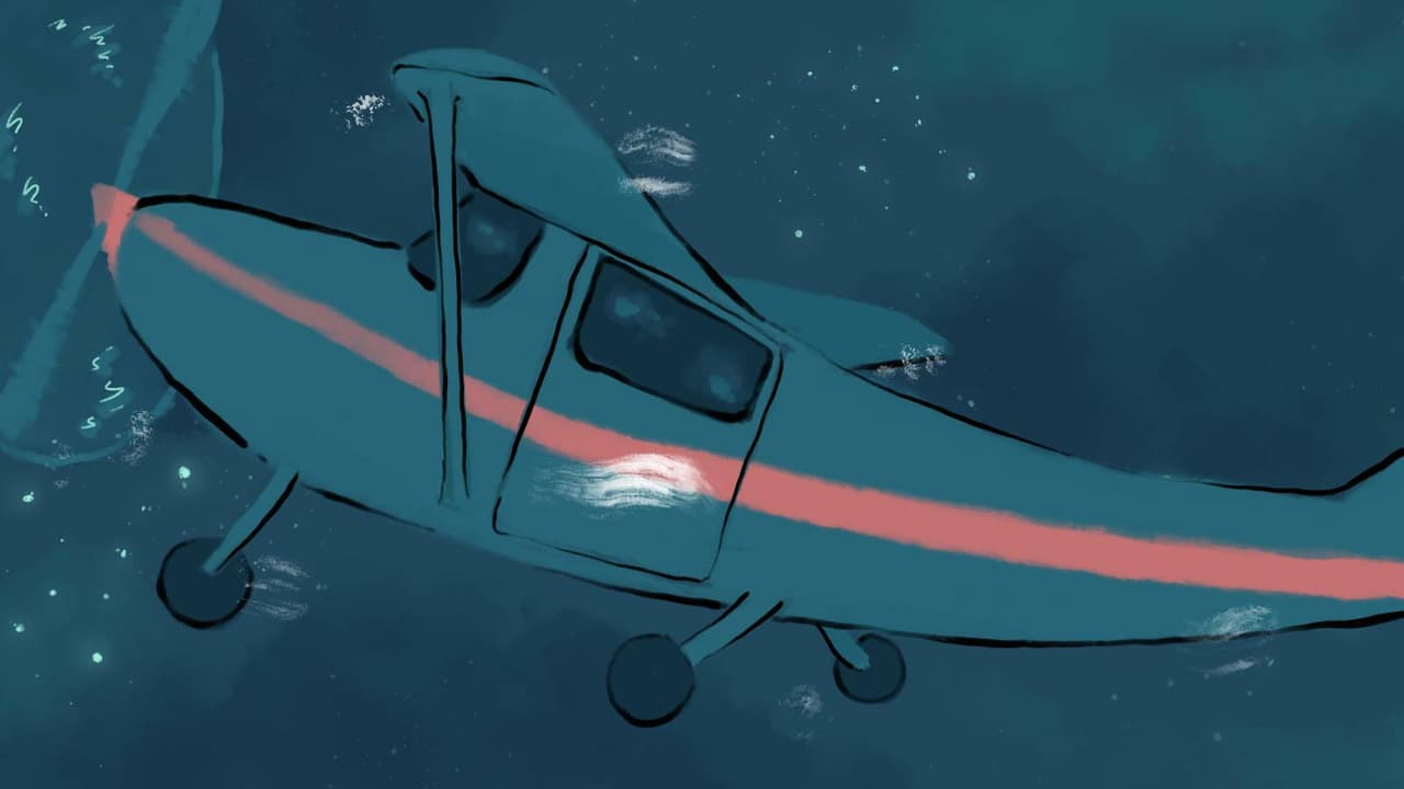 No Cats on the Plane (Incubator Game & Soft Dev Community) screenshot 3