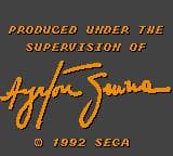 Ayrton Sennas Super Monaco GP II screenshot 2