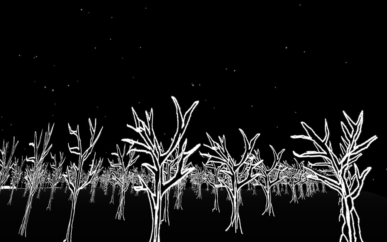 My Orchard