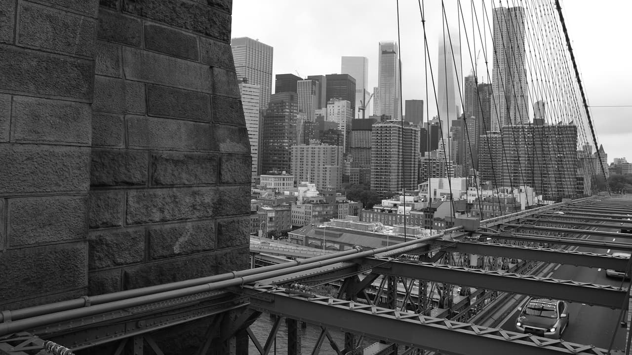 10 Gnomes in New York screenshot 4