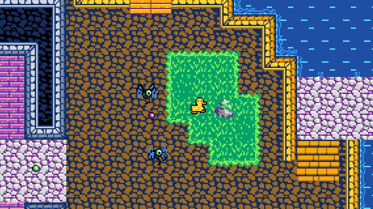 Grapecheese