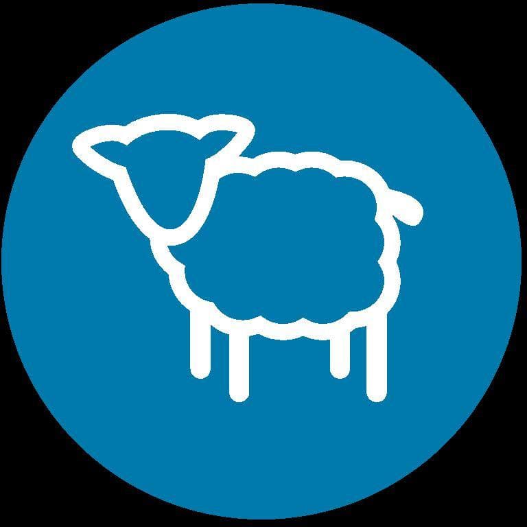 The Last Sheep