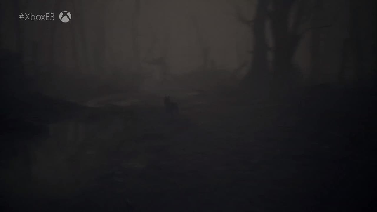 Blair Witch screenshot 4