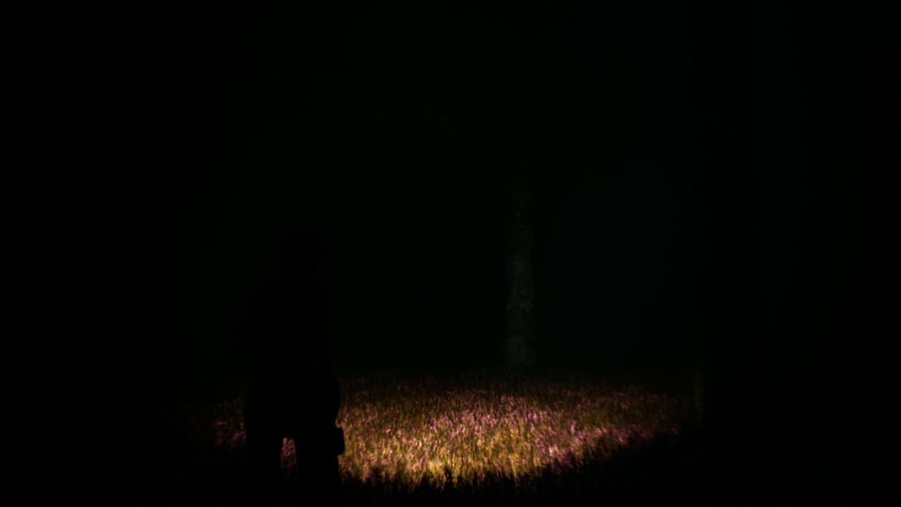 Nightfall (itch) (GRIME)