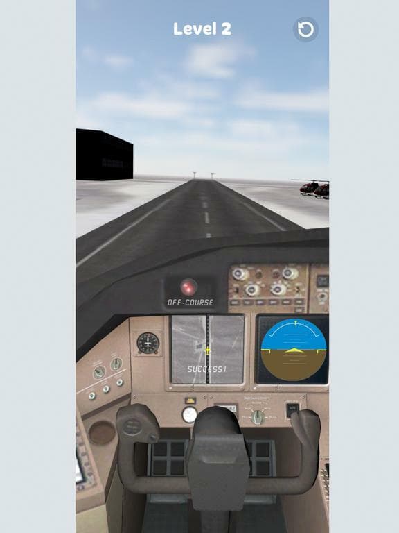 Plane Landing 3D screenshot 4
