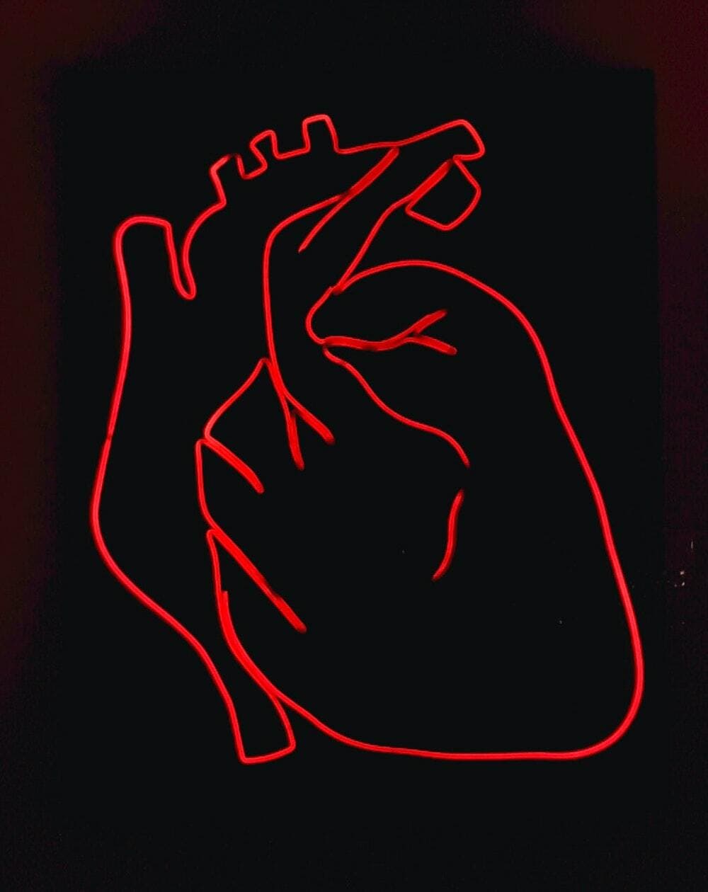 LUBdub: heartbeat motivations