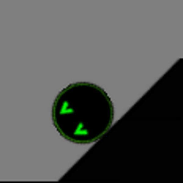 Malwares Adventures