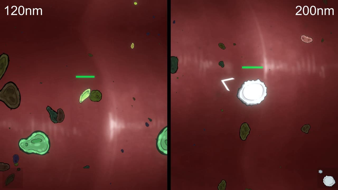 Bacteria Vs Antibody screenshot 3