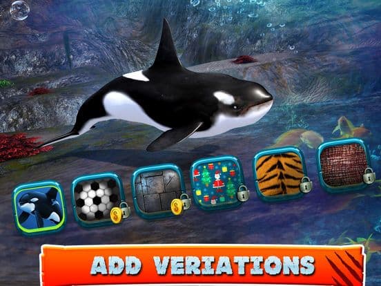 Killer Whale Beach Attack 3D