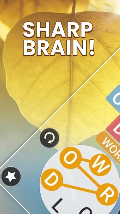 Word Rainbow Crossword screenshot 2