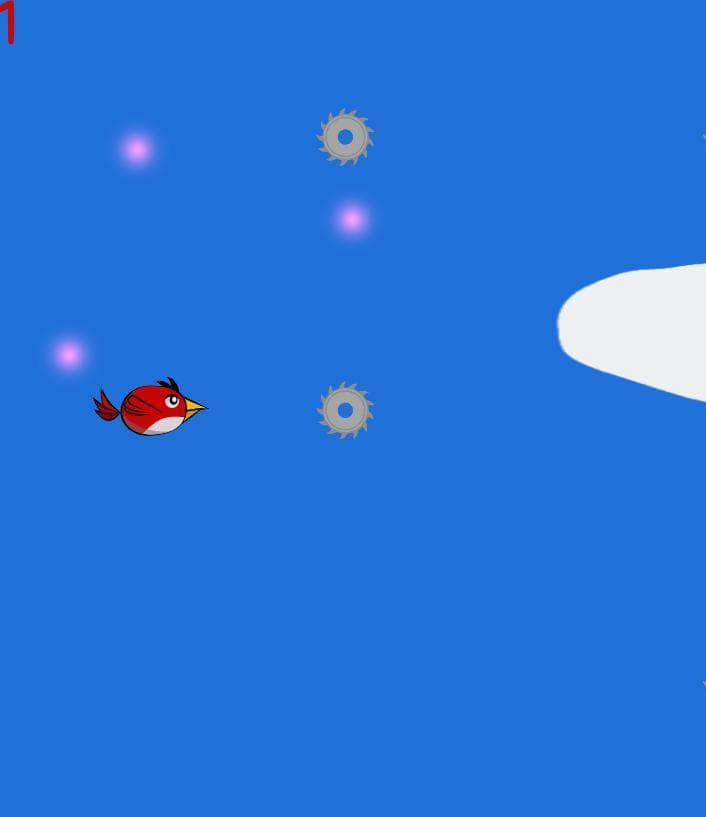 Birdies adventure