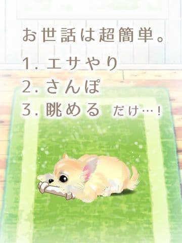 My Dog Life -Chihuahua Edition screenshot 3