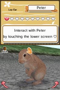 Animal Paradise screenshot 5