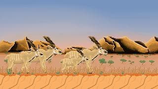Best Kudu RUN