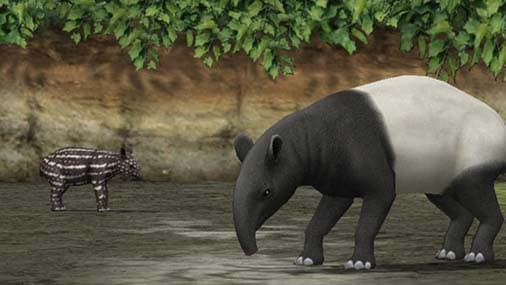 My Zoo screenshot 3