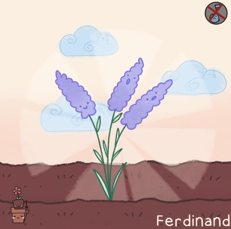 Real-time Gardener