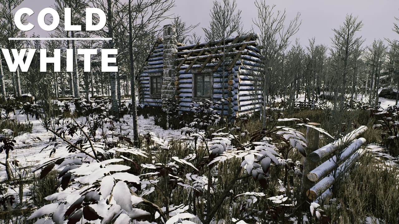 The Cold White screenshot 2