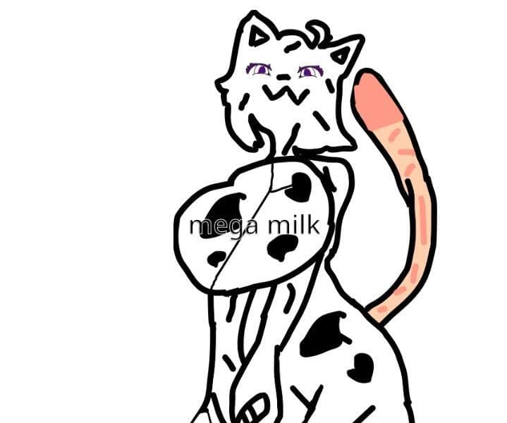 caan cat kart