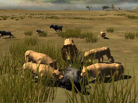 Africa Wild screenshot 2